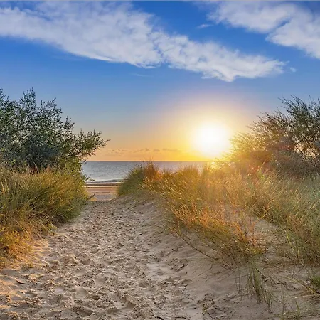 Zum Koi I Eg Zirchow